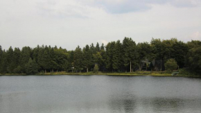 Отель Waldsee Feriendienst 'Ferienpark am Waldsee'  Клаусталь-Целлерфельд